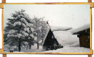 Gulmarg Snow Fall