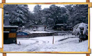 Kasauli Snowfall View