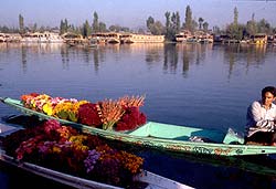 Kashmir Flower Seller