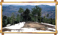 Dharamshala Dalhousie Tour Packages Manali Tour Packages