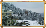 Shimla