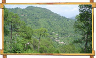 Solan Valley View
